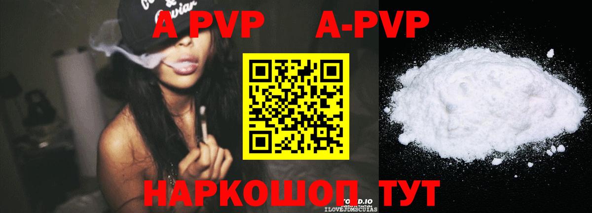 Alfa_PVP СК КРИС Прокопьевск