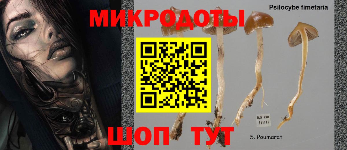 Прокопьевск  Псилоцибиновые грибы ЛСД  Вход с VPN 