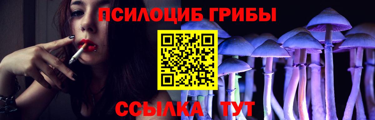 Галлюциногенные грибы Psilocybine cubensis Прокопьевск